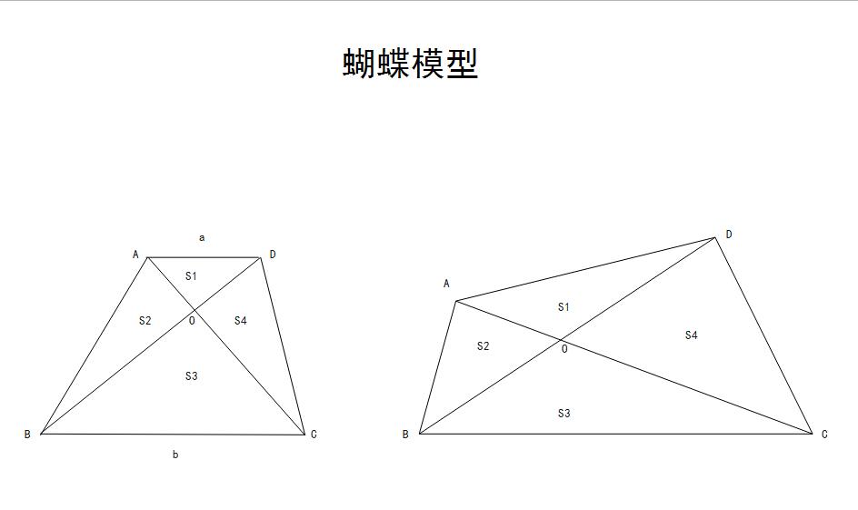 蝴蝶模型