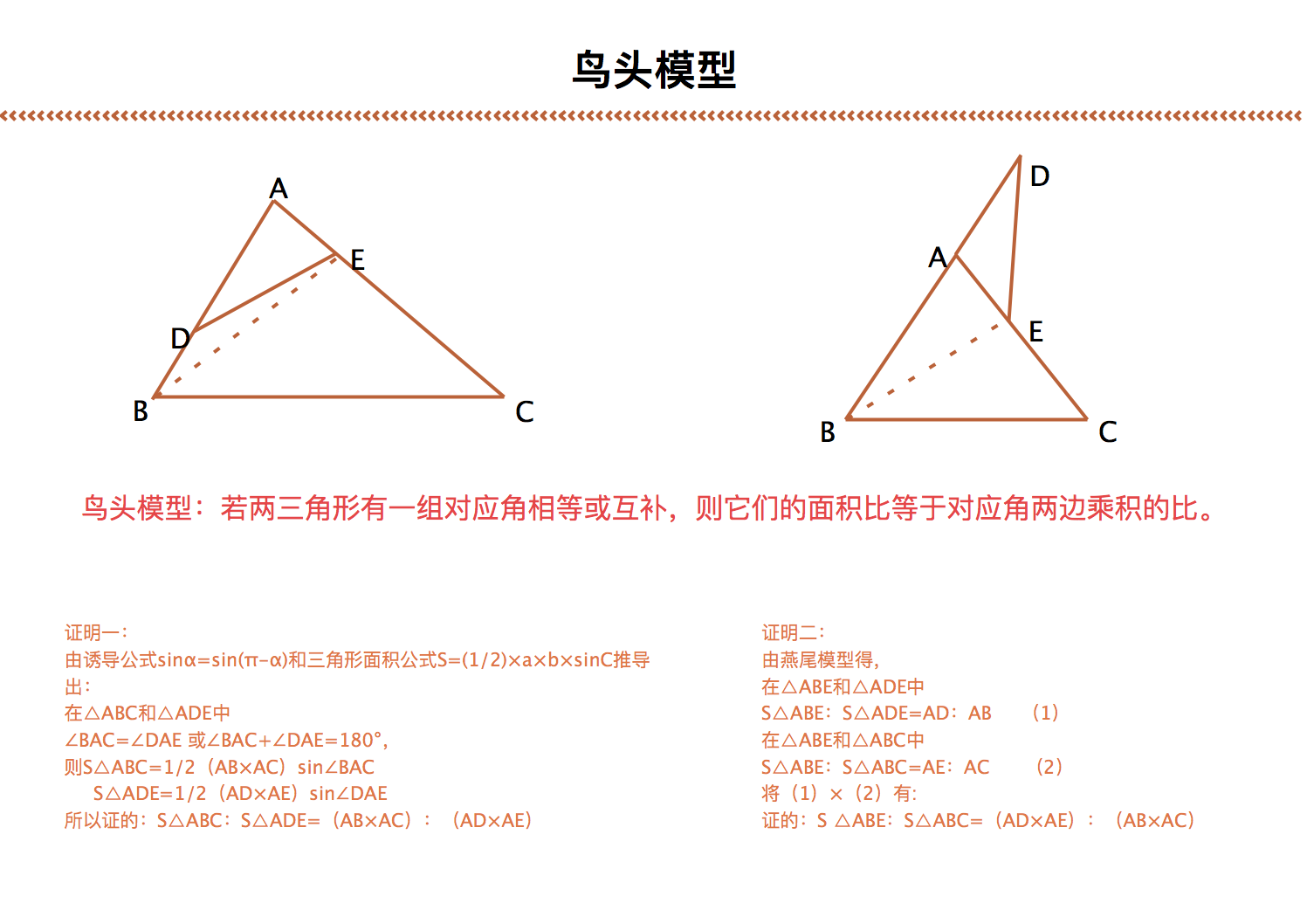 鸟头模型